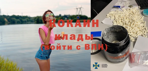 крисы Алзамай