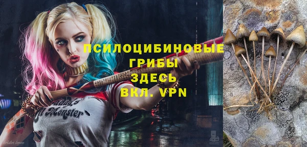экстази Алексин