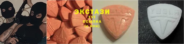 индика Снежногорск