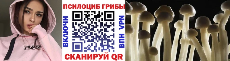 даркнет сайт  ОМГ ОМГ ТОР  Галлюциногенные грибы MAGIC MUSHROOMS  Асбест 