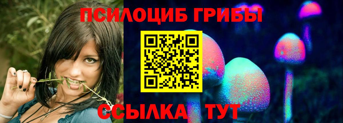 Псилоцибиновые грибы Psilocybe  Псилоцибиновые грибы Psilocybine cubensis  Вход с VPN  Асбест 