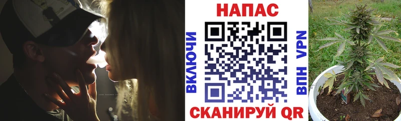 Каннабис сатива  купить наркотики цена  Асбест 